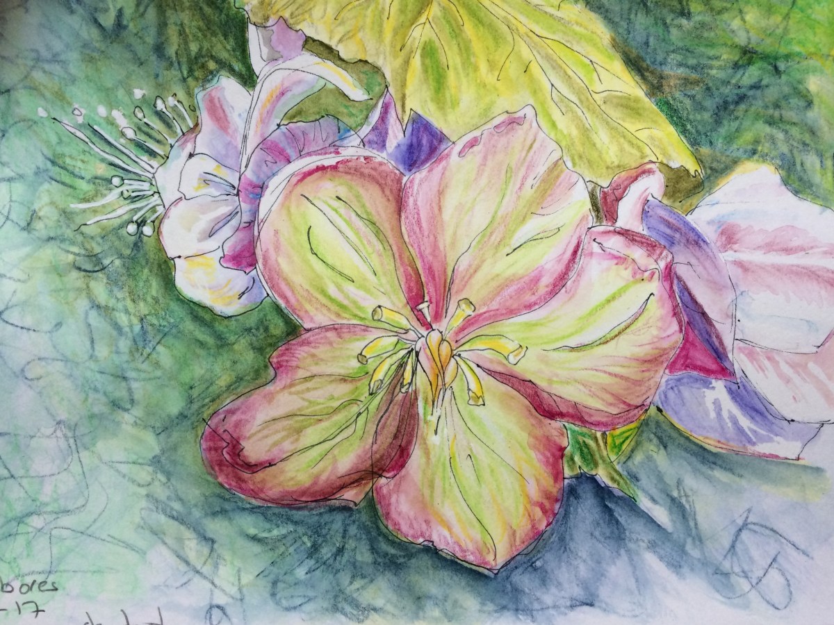 lighter side show helibores