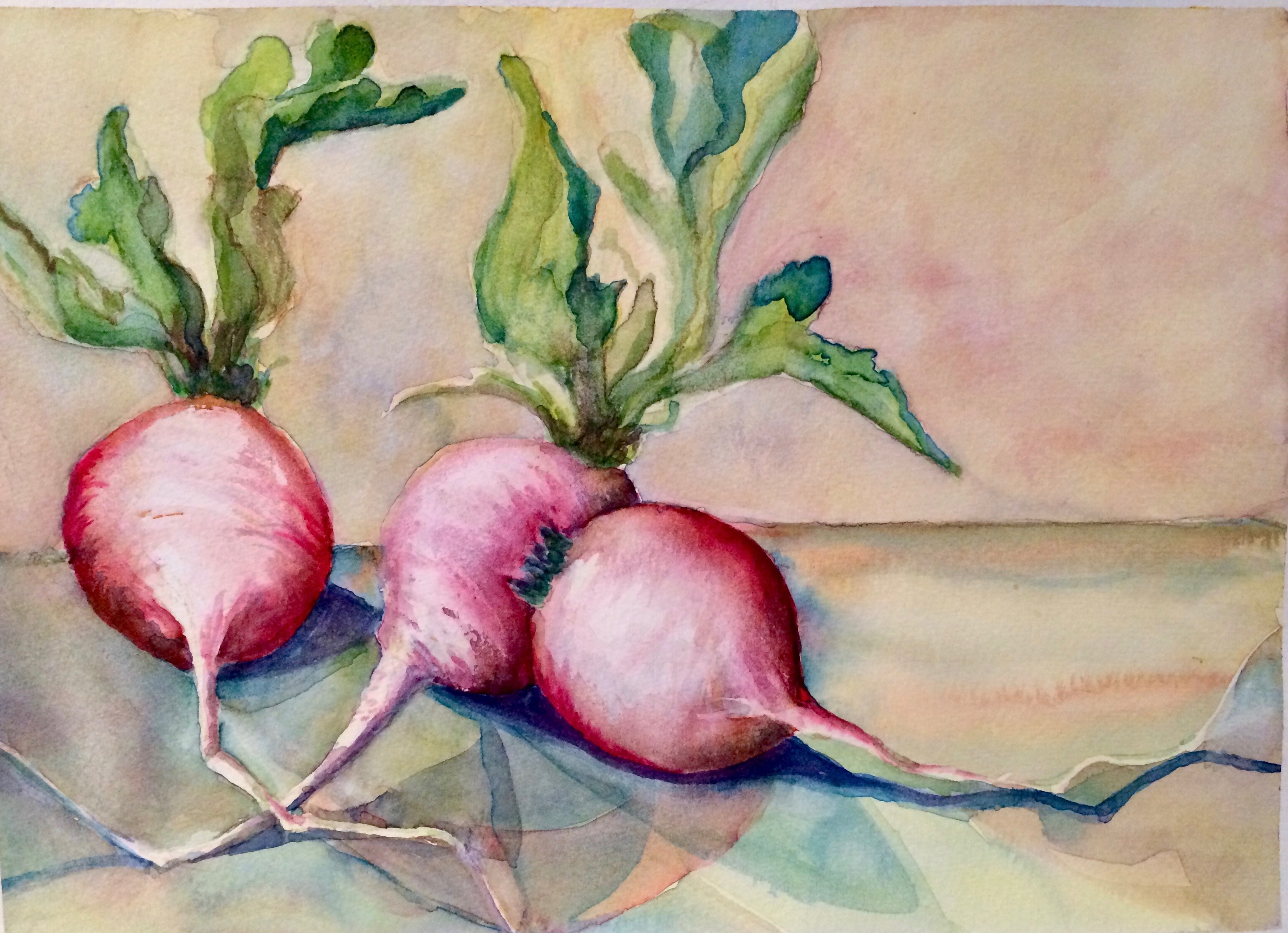 Radishes 1 copyright Peggy Willett