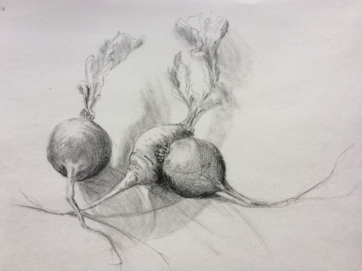 Radishes copyright Peggy Willett