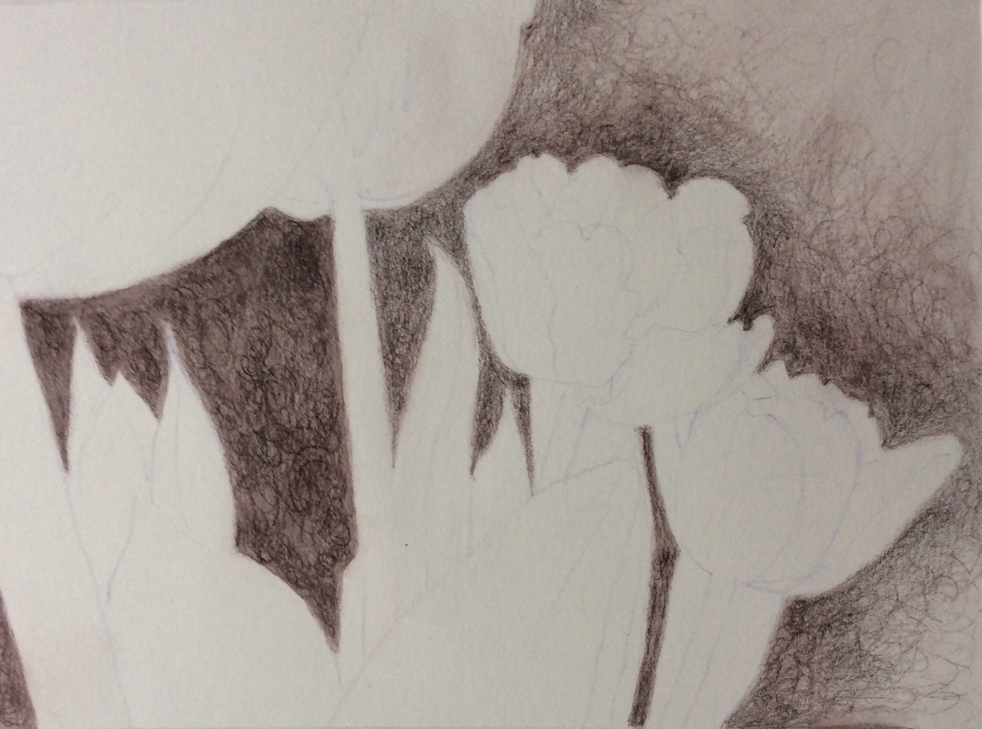 Step 1 Tulip watermedia