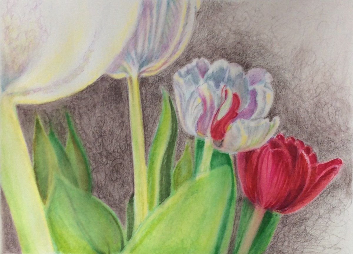 Step 4 - final tulips